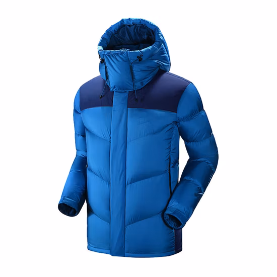 Abbigliamento invernale in cotone da donna, moda con cappuccio, forte senso del design, piumino